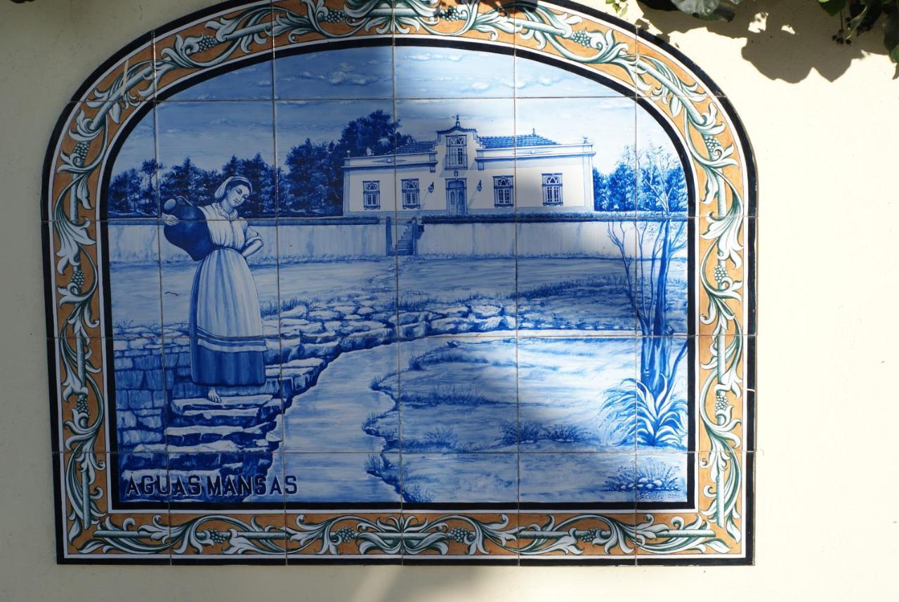 Cadima Casa Aguas Mansas Bed & Breakfast エクステリア 写真